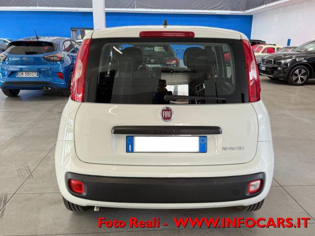 FIAT Panda Hybrid 1.0 FireFly 70 cv Neopatentati - PROMO