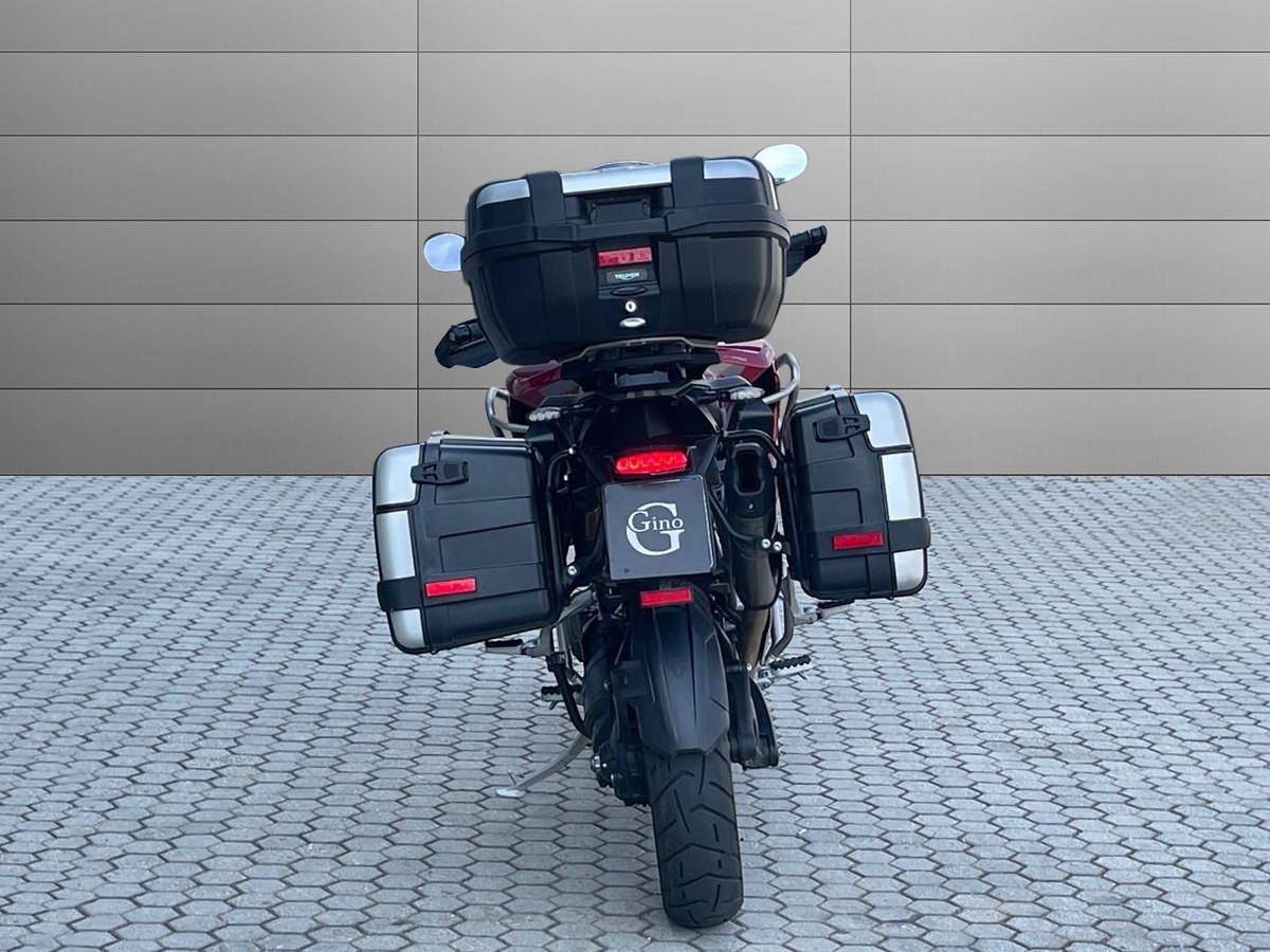 TRIUMPH Tiger 1200 GT Pro Abs my24