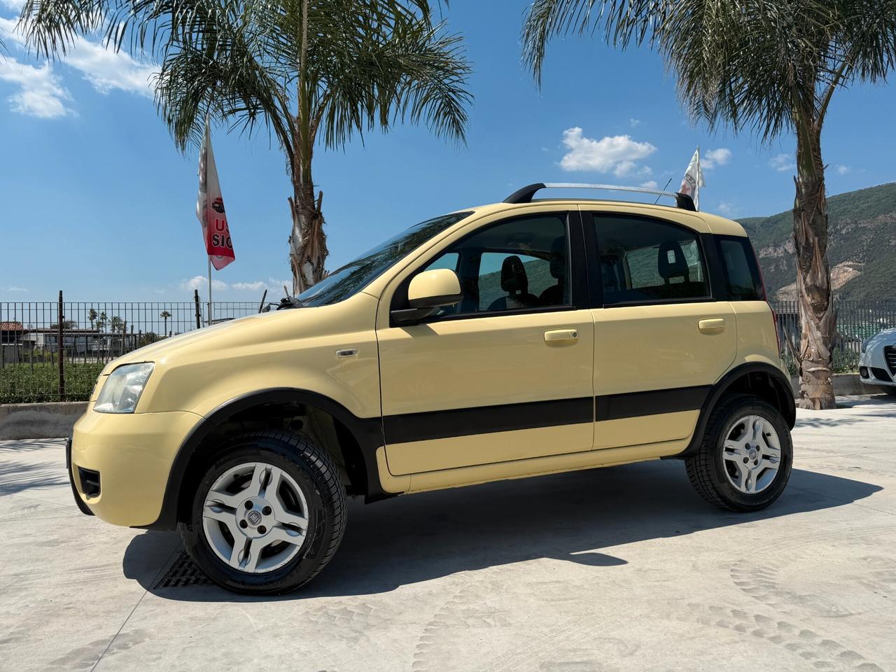 FIAT PANDA CLIMBING 4X4 ANNO 2011 1.3 MJT 75 CV