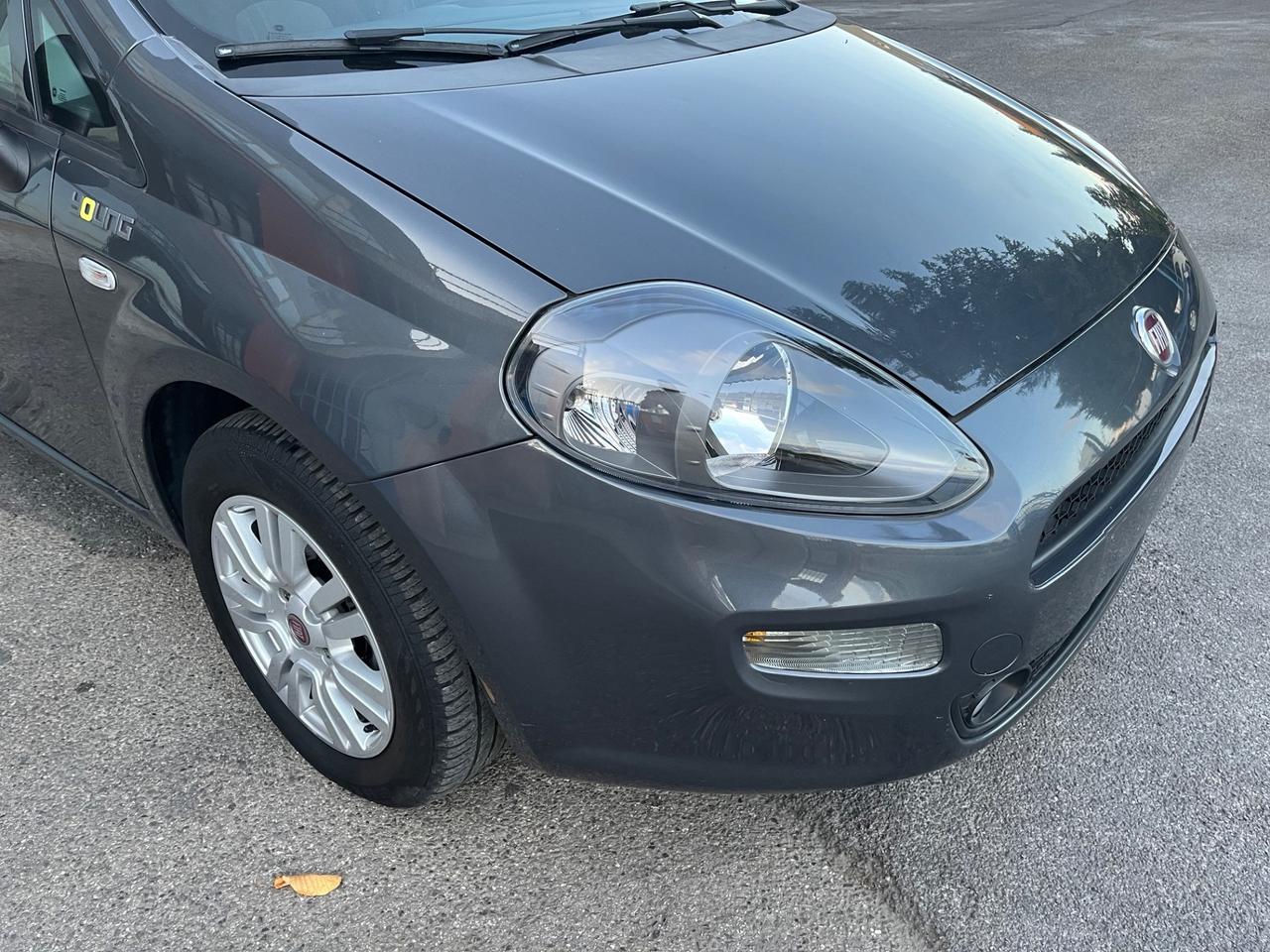 Fiat Punto 1.2 8V 5 porte Young-solo km 55900-
