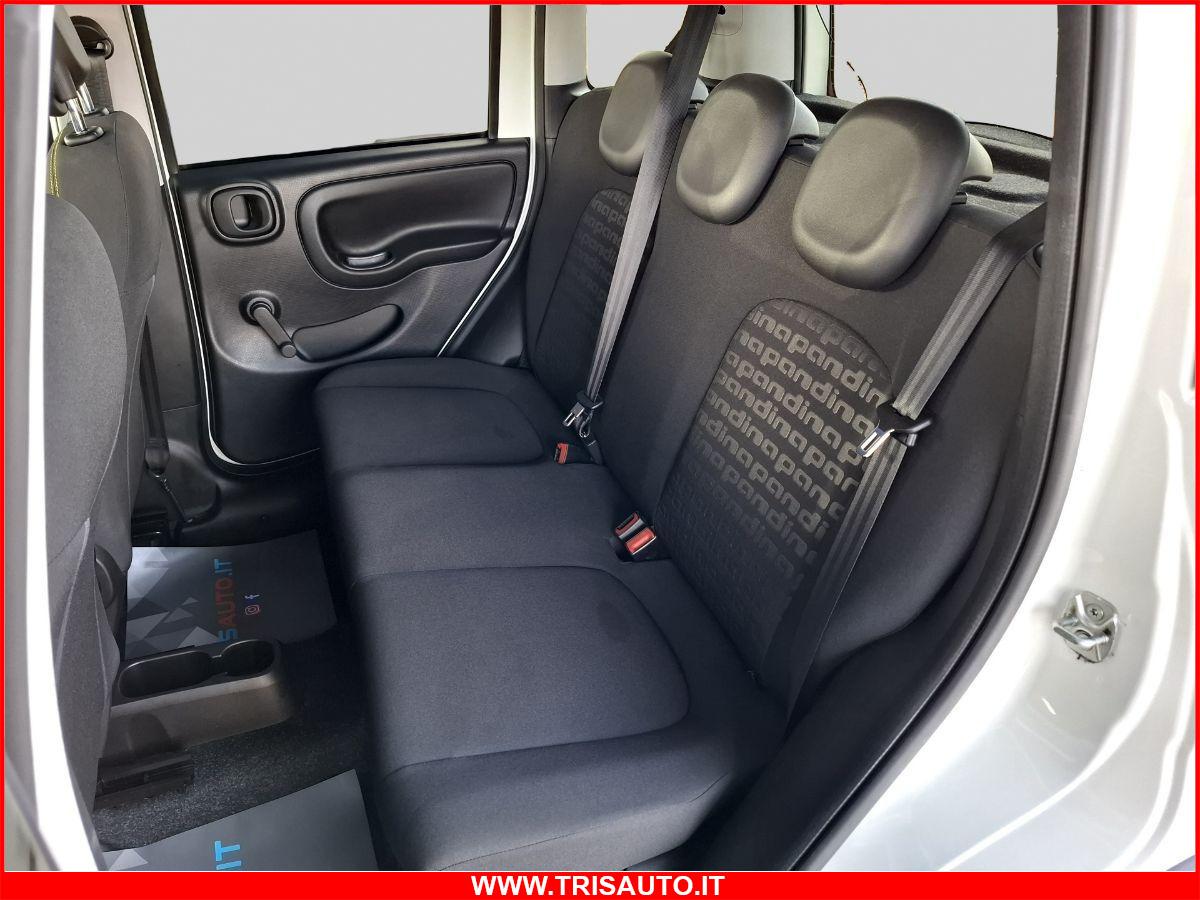 FIAT Panda 1.0 Hybrid Pandina NEOPATENTATI