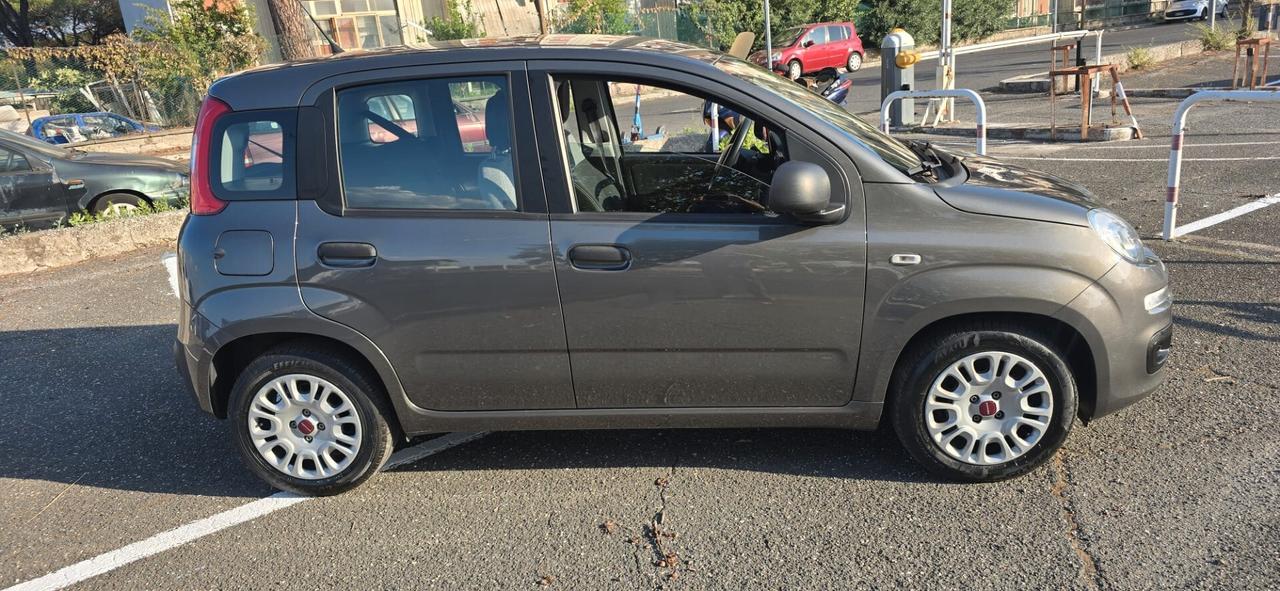 Fiat Panda 1.0 FireFly S&S Hybrid solo 60671 km