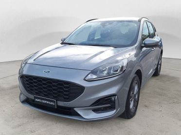 Ford Kuga 1.5 EcoBlue 120 CV Automatica ST-Line 2WD