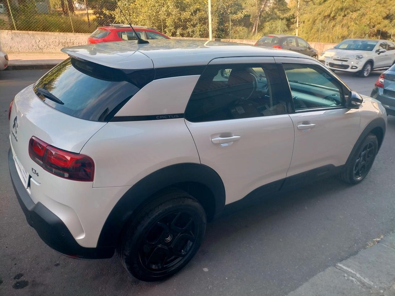 Citroen C4 Cactus BlueHDi 100 S&S Shine