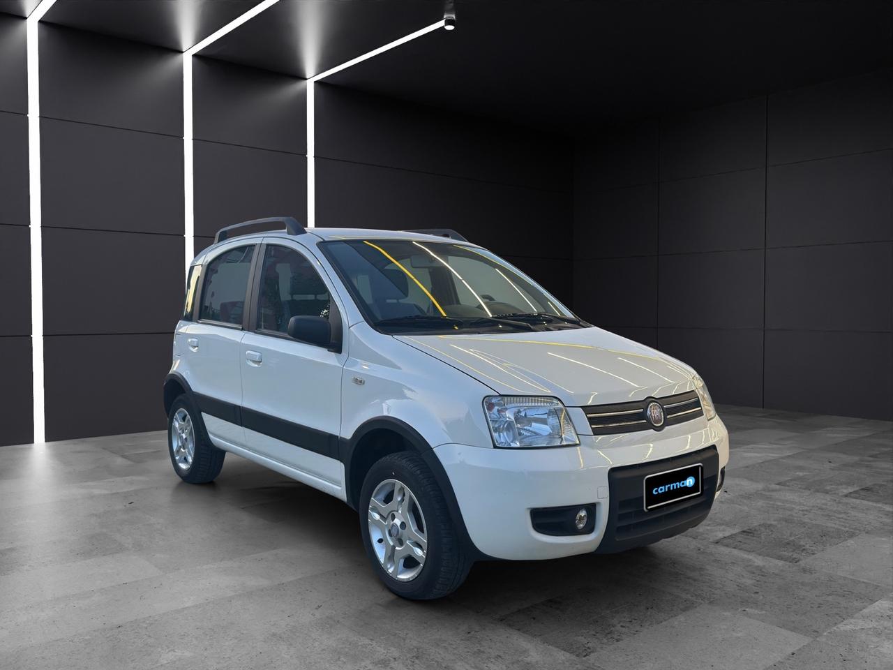 Fiat Panda 1.2 Climbing Natural Power