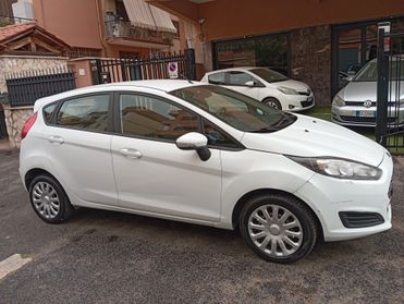 Ford Fiesta 1.4 5 porte Bz.- GPL Black & White Edition
