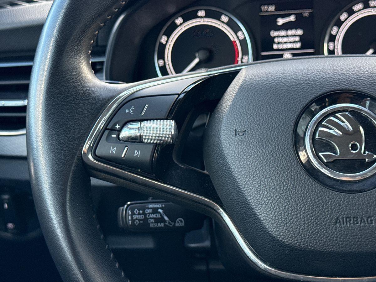SKODA Scala 2019 - Scala 1.0 tsi Ambition 95cv