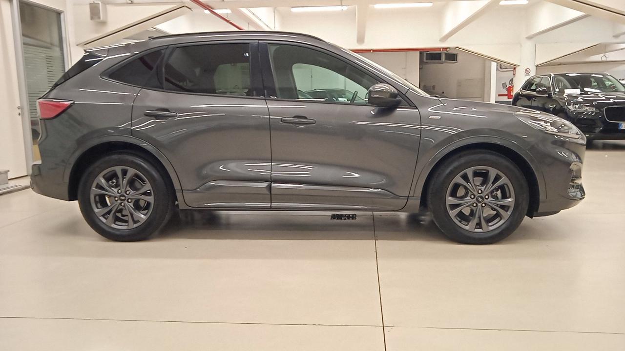 FORD Kuga 1.5 ecoblue ST-Line 2wd 120cv