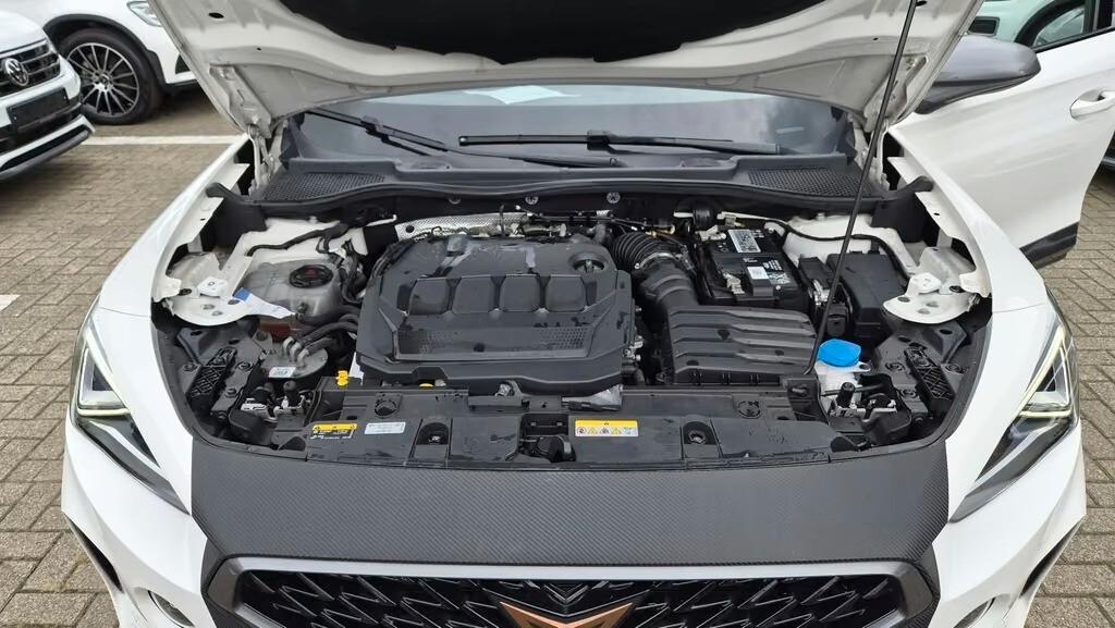 Cupra Formentor 2.0 TDI Matrix LED AHK Sound Ambient