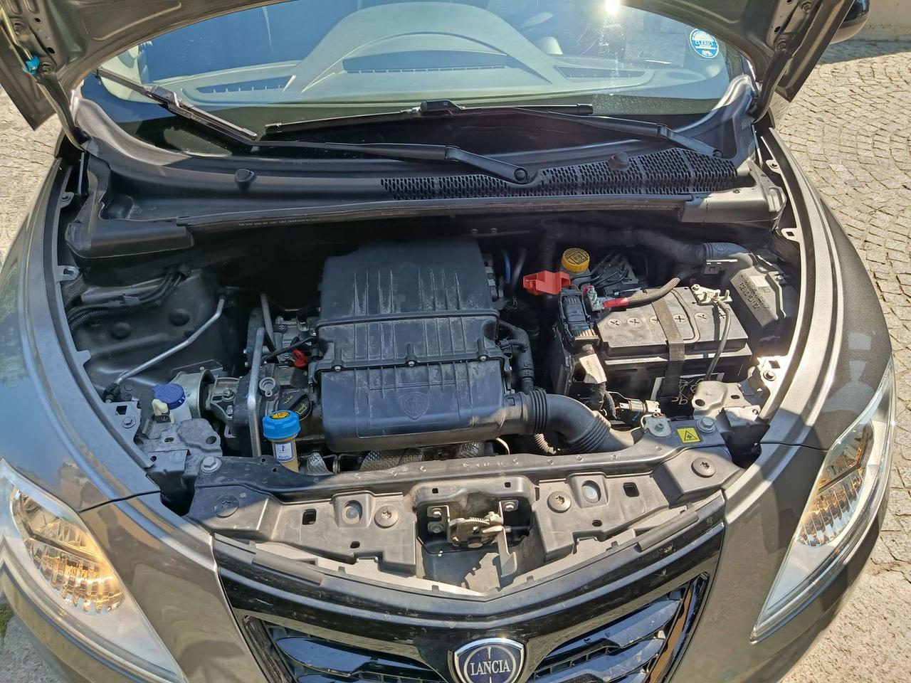 Lancia Ypsilon Elefantino 1.2 #10969