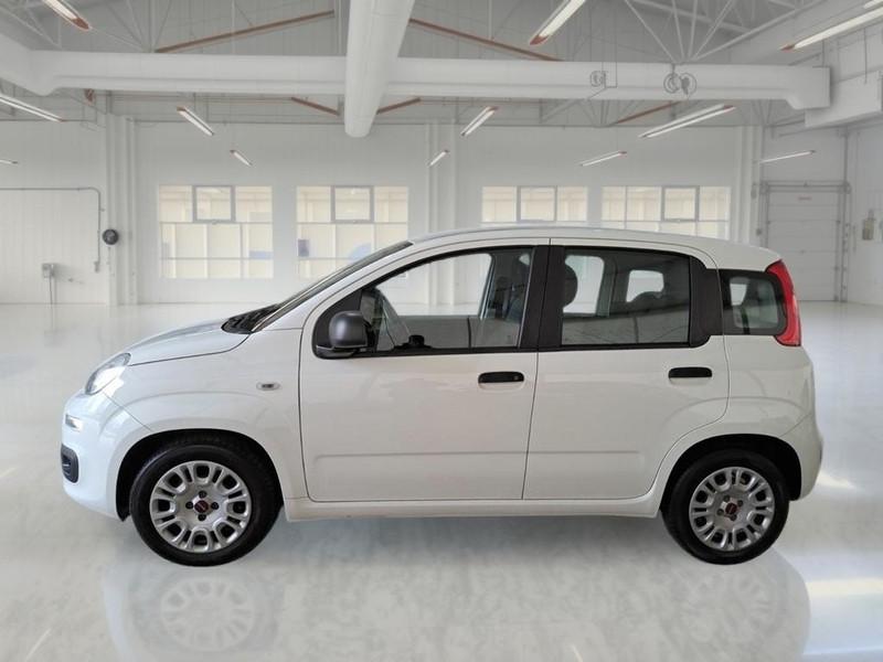 FIAT PANDA 1.0 70 CV SES HYBRID E6D-T EASY 5 PORTE BERLINA
