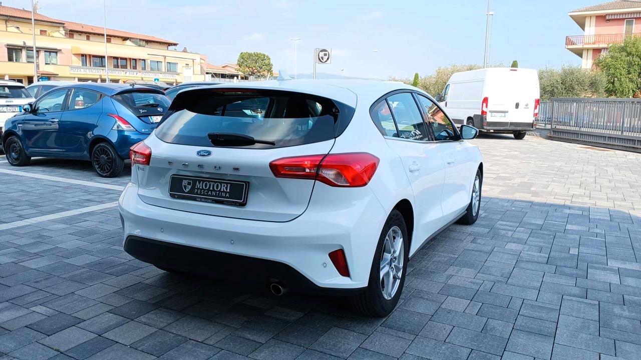 Ford Focus 1.5 EcoBlue 120 CV automatico 5p. Business Co-Pilot