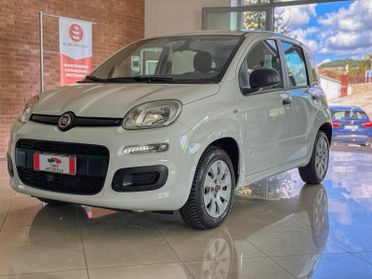 FIAT Panda Easy - 1.2 Benz. 69 cv EURO6D