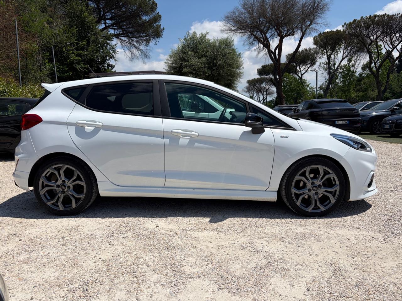 Ford Fiesta 1.5 EcoBlue 5 porte ST-Line