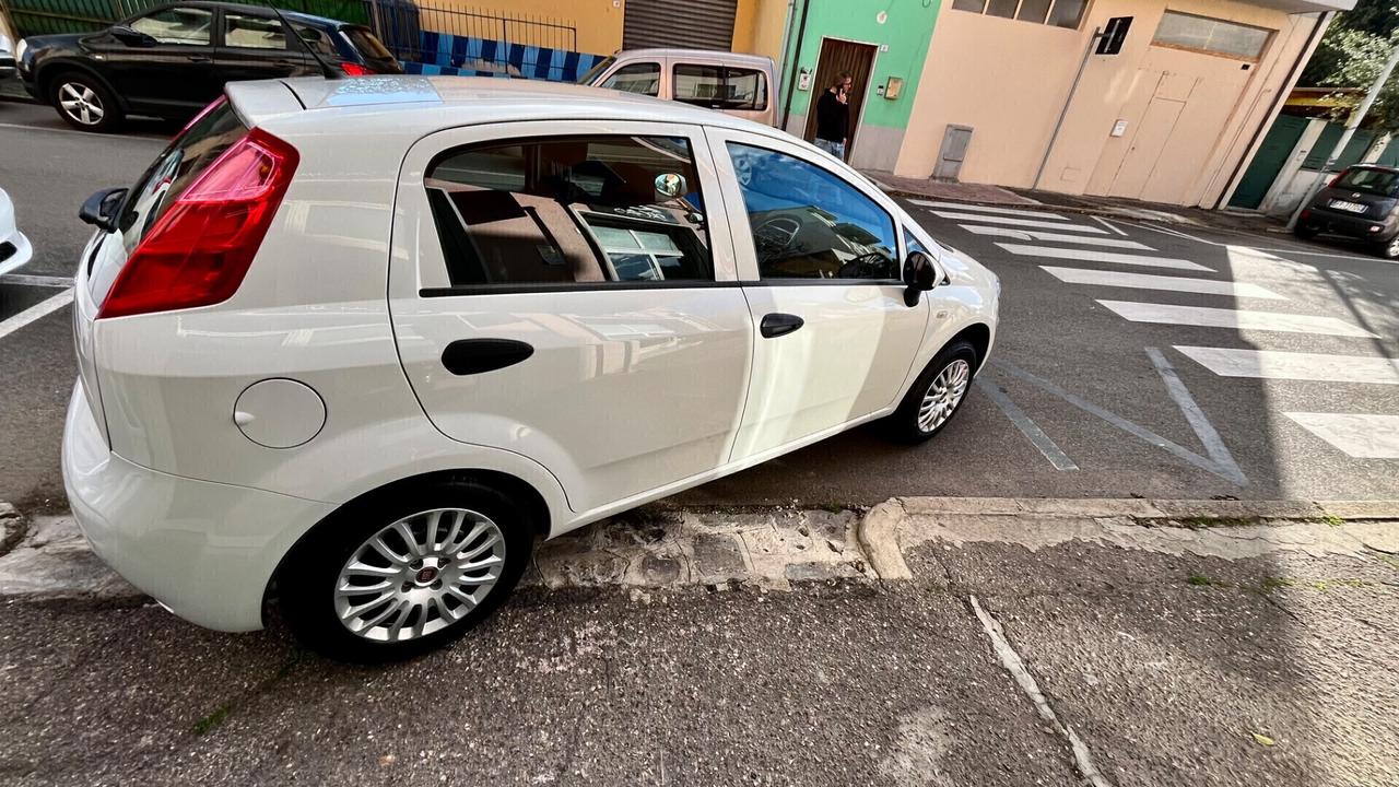 Fiat Punto 1.2 8V 5 porte Street