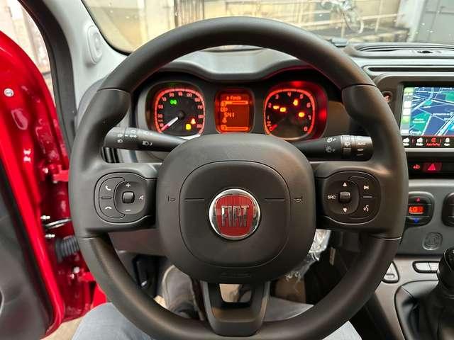 Fiat Panda Cross 1.0 Hybrid 70cv 36 rate Rate da 177,95 Euro