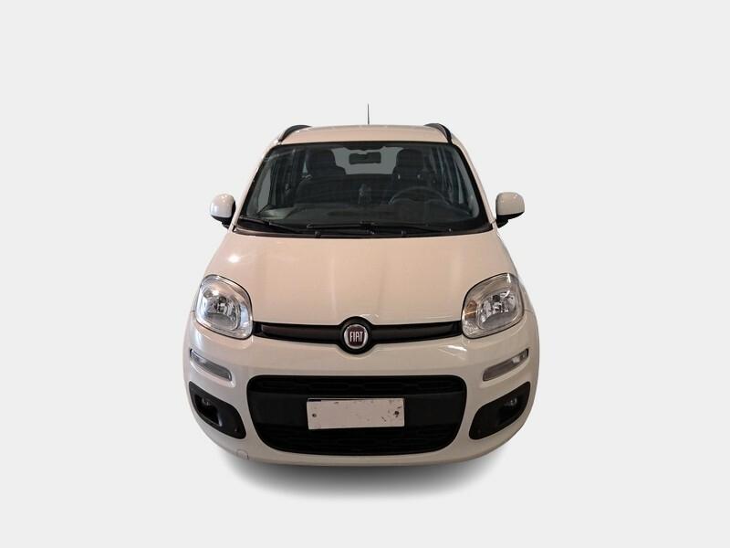 FIAT PANDA 1.2 69cv E6d-Temp Lounge 5 PORTE