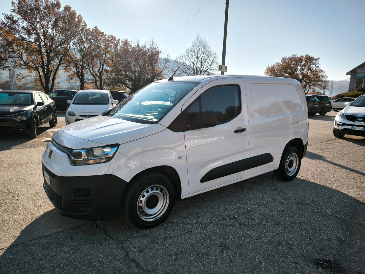 Fiat Doblò 1.2 110CV PC-TN Furgone