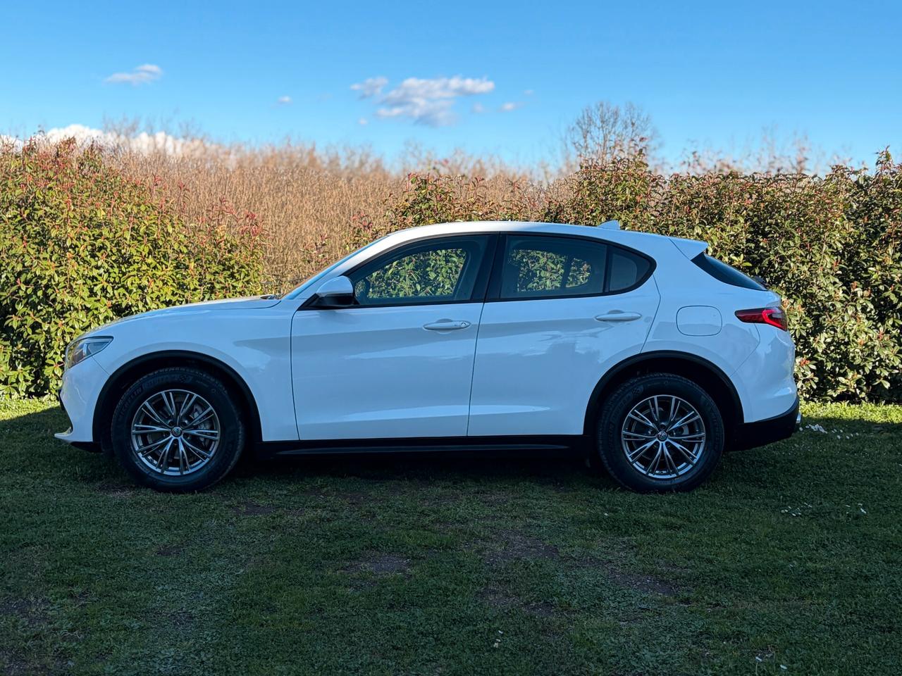 Alfa Romeo Stelvio 2.2 Turbodiesel 190 CV AT8 Q4 Business