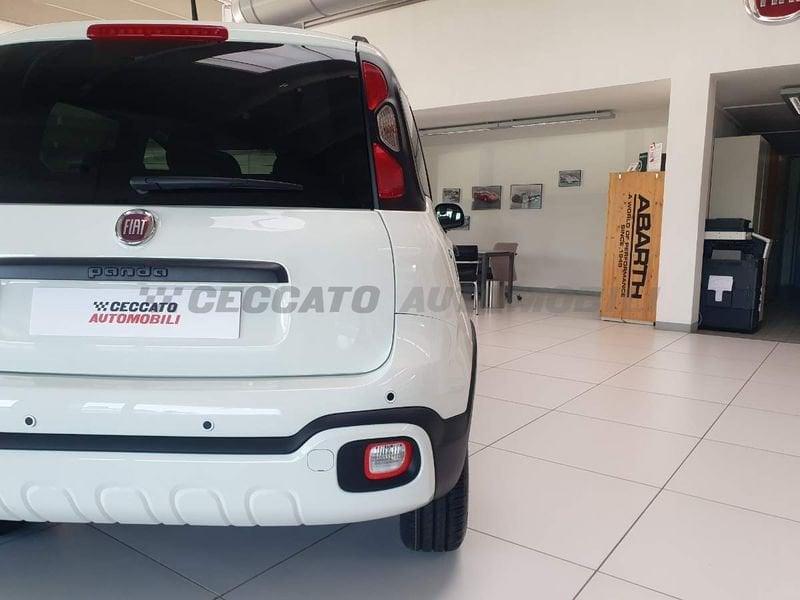 FIAT Panda 1.0 70cv Hybrid Pandina