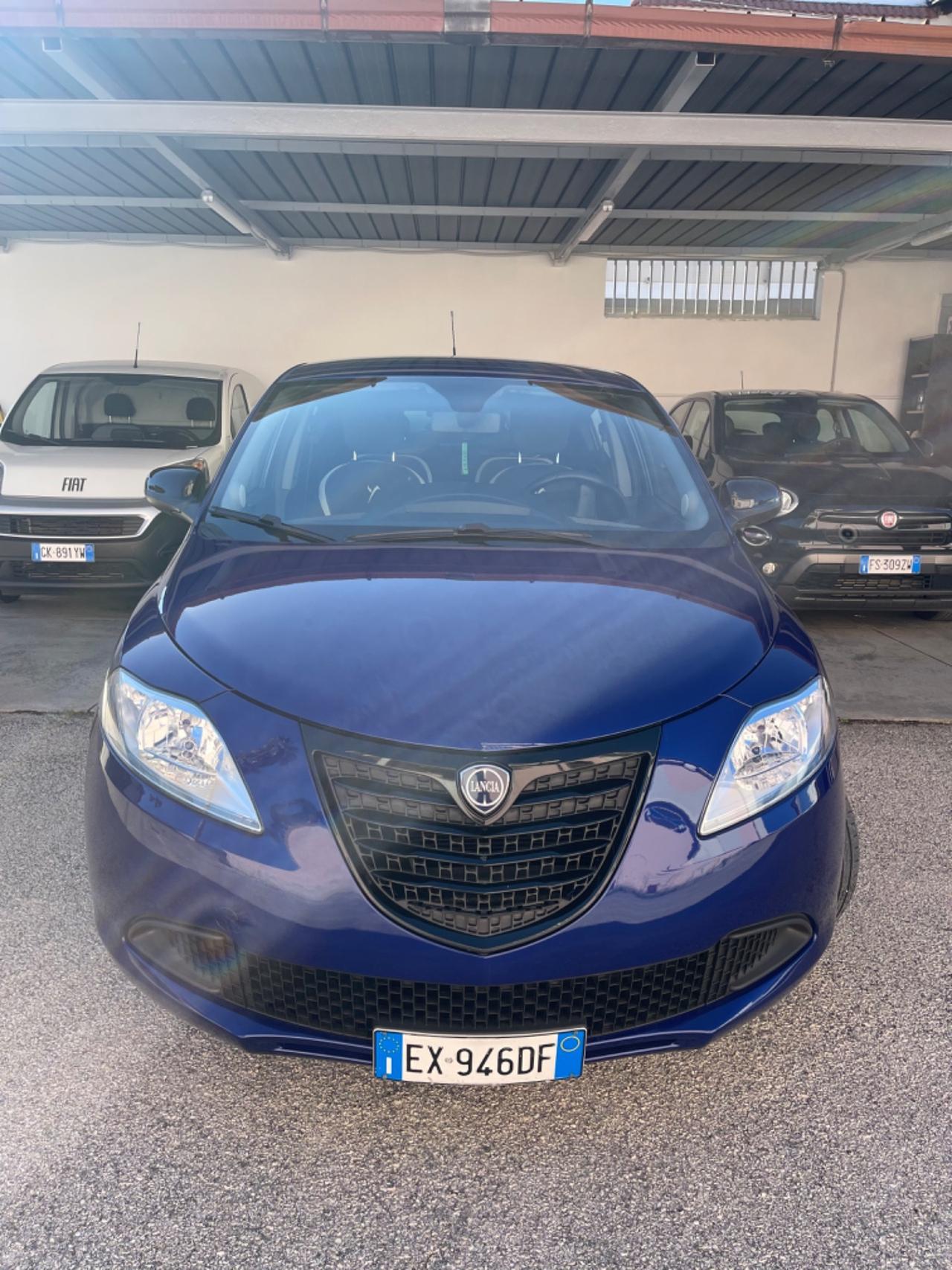 Lancia Ypsilon 1.2 69 CV 5 porte Elefantino