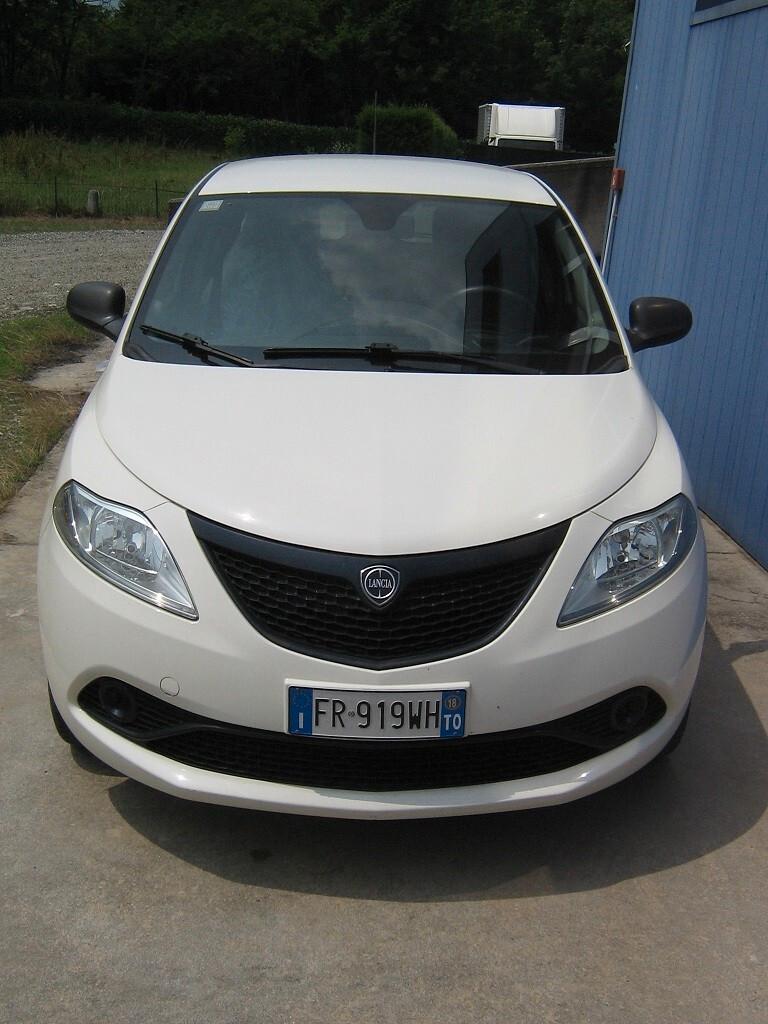 Lancia Ypsilon 1.2 69 CV 5 porte Elefantino Blu
