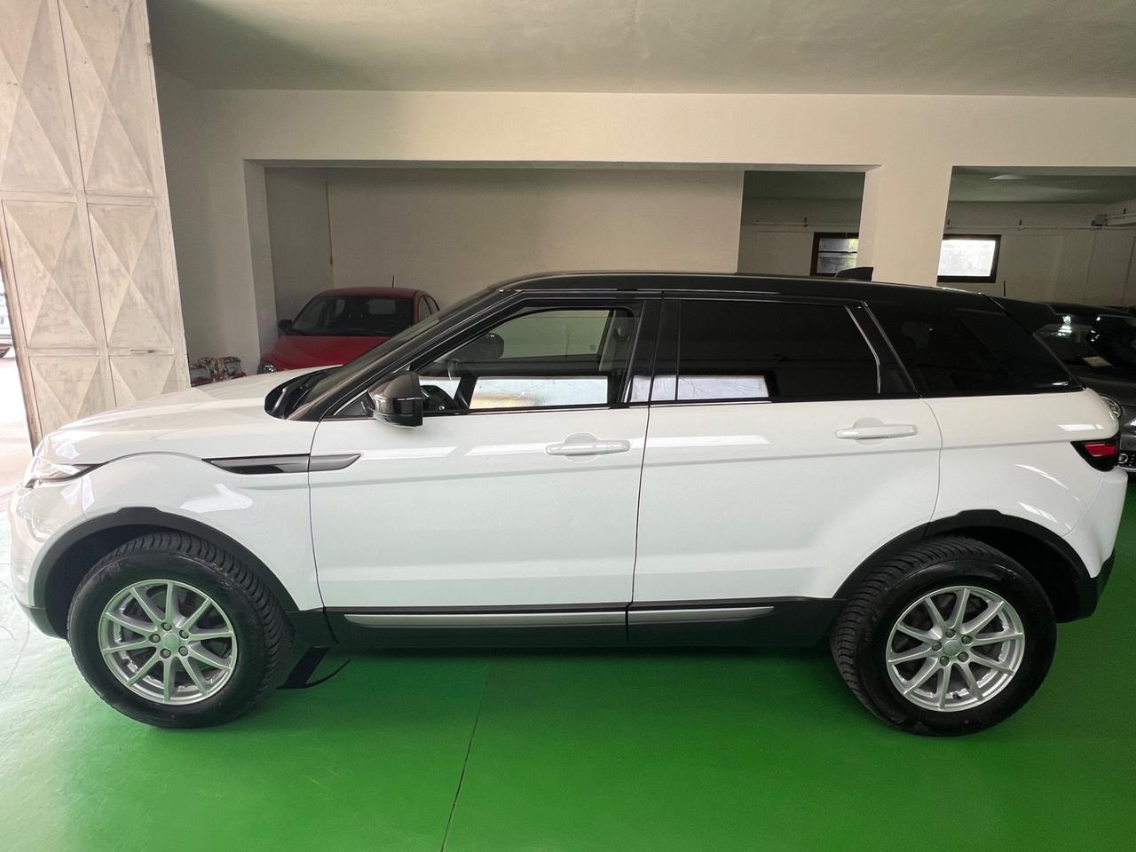 Land Rover Range Evoque 2.0 TD4 150 CV 5p. Business Edition Pure