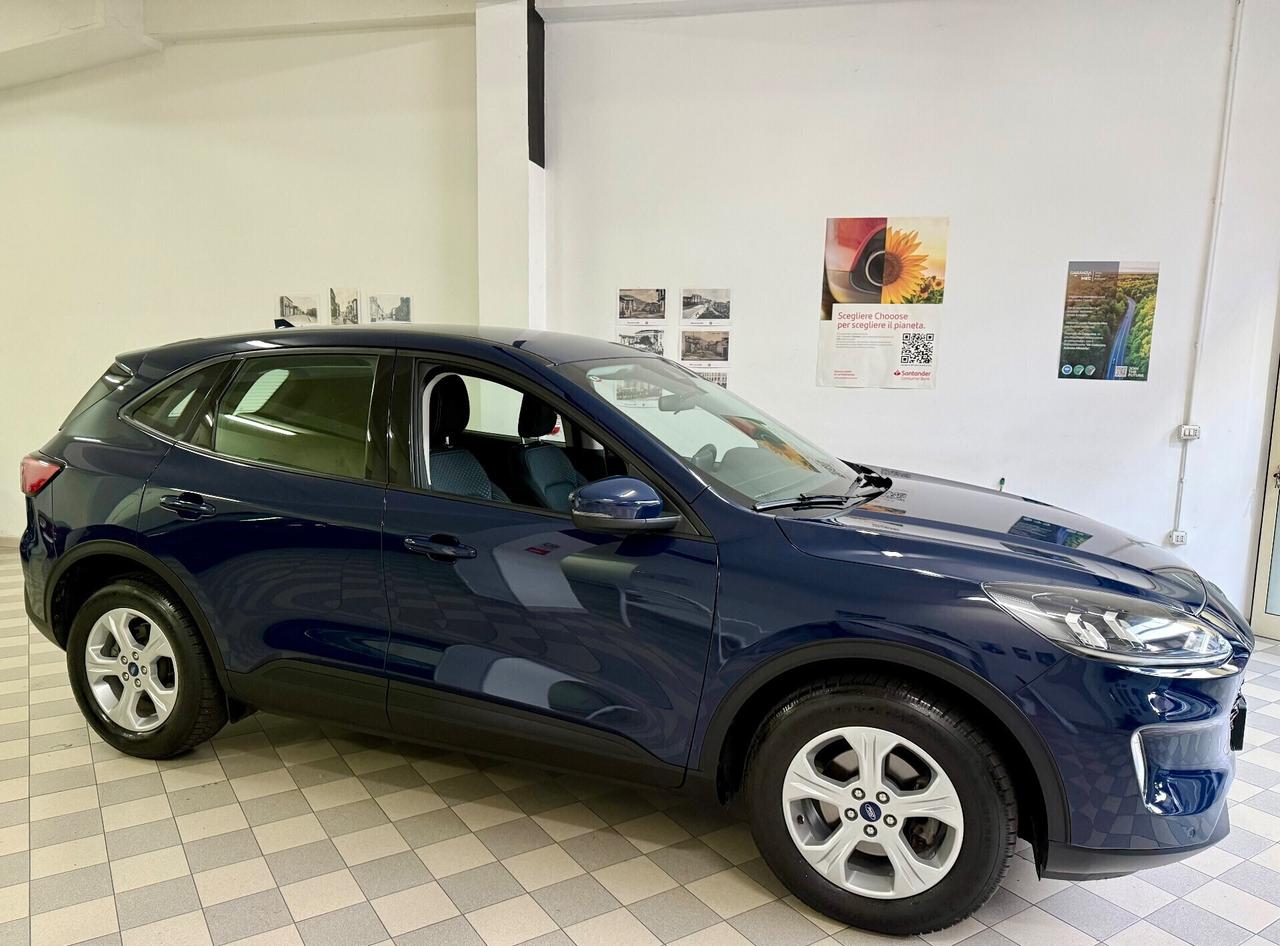 Ford Kuga 2.0 EcoBlue Hybrid 150 CV 2WD Connect