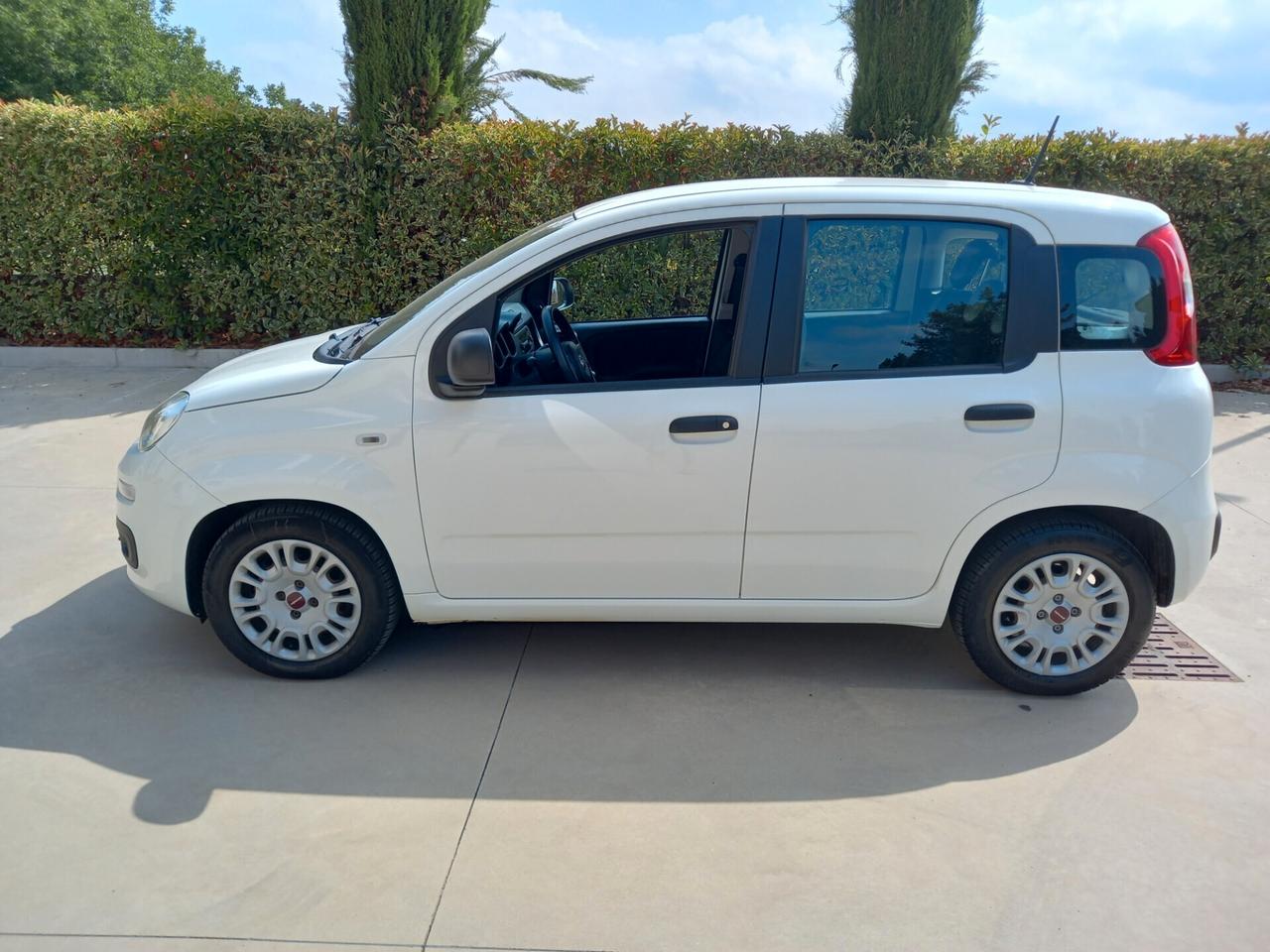 Fiat Panda BENZINA 5 POSTI 2021