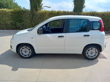 Fiat Panda BENZINA 5 POSTI 2021