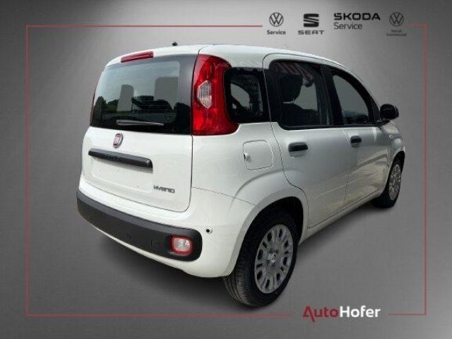 FIAT Pandina 1.0 Hybrid ICON Radio Clima 5P **AKTION**
