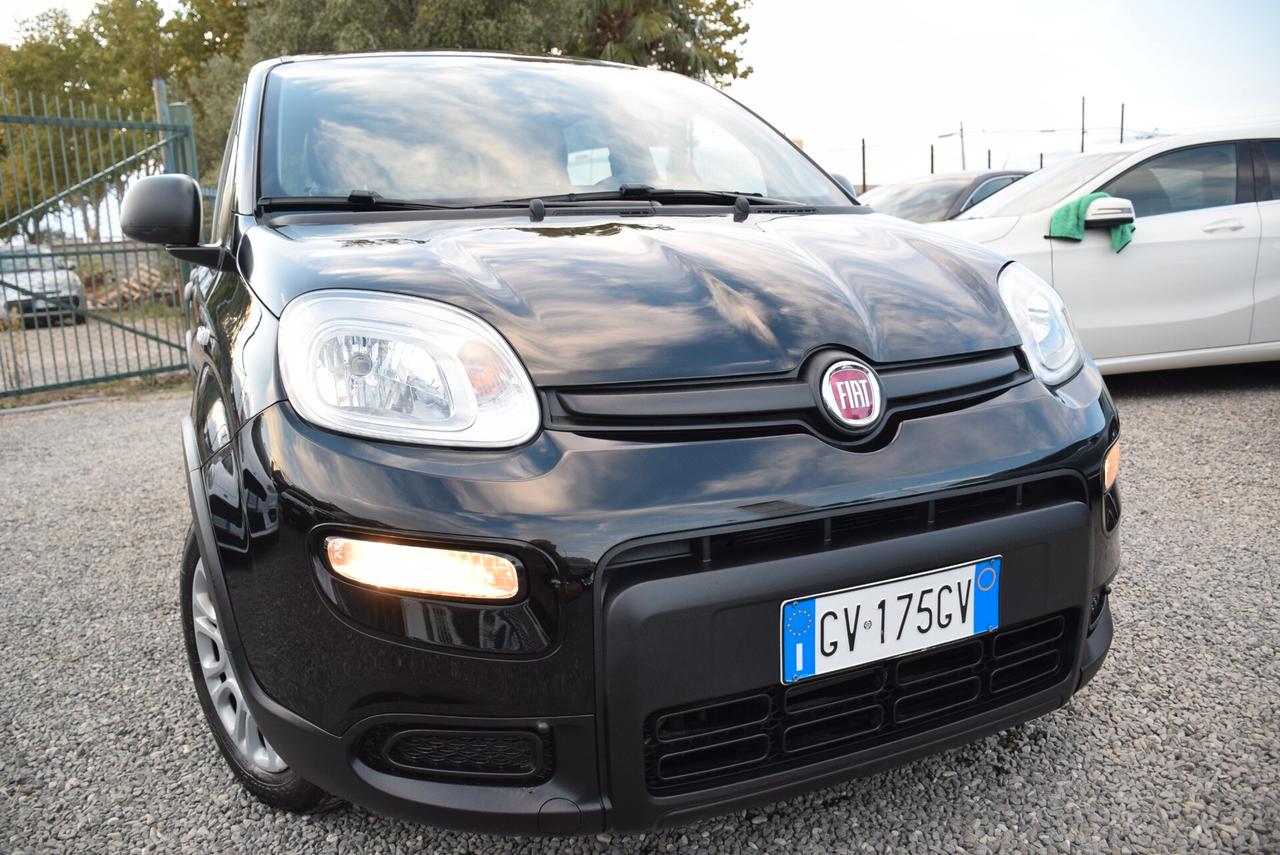 Fiat Panda 1.0 FireFly Hybrid CLIMA BT OK NEOPATENTATI IVA DETR.