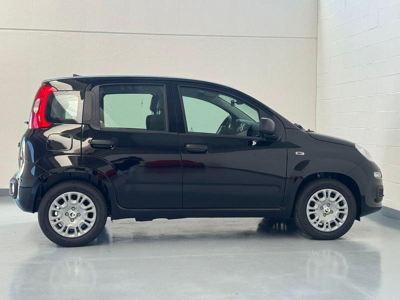 FIAT Panda Panda 1.0 FireFly S&S Hybrid Icon