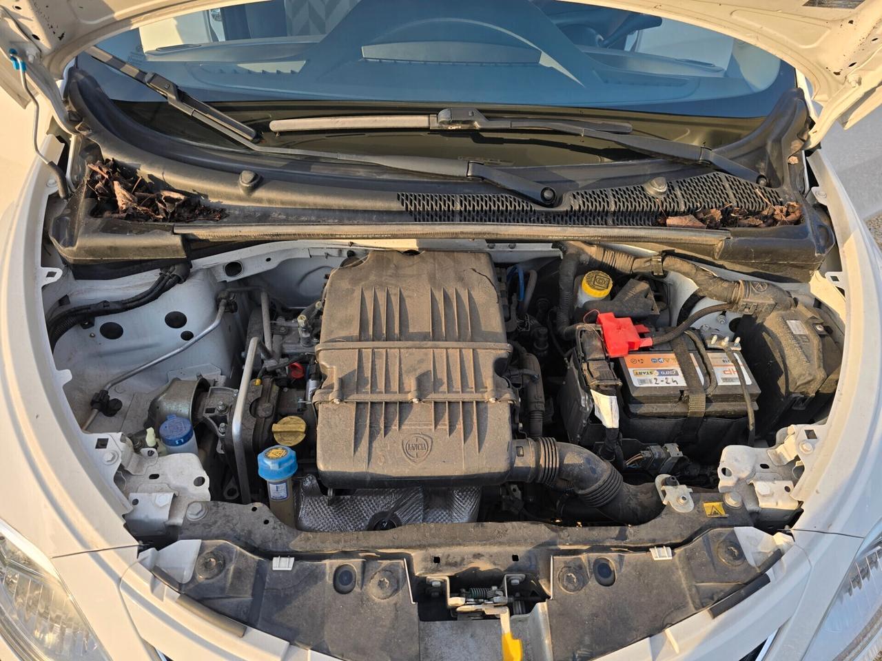 Lancia Ypsilon 1.2 69 CV 5 p benzina