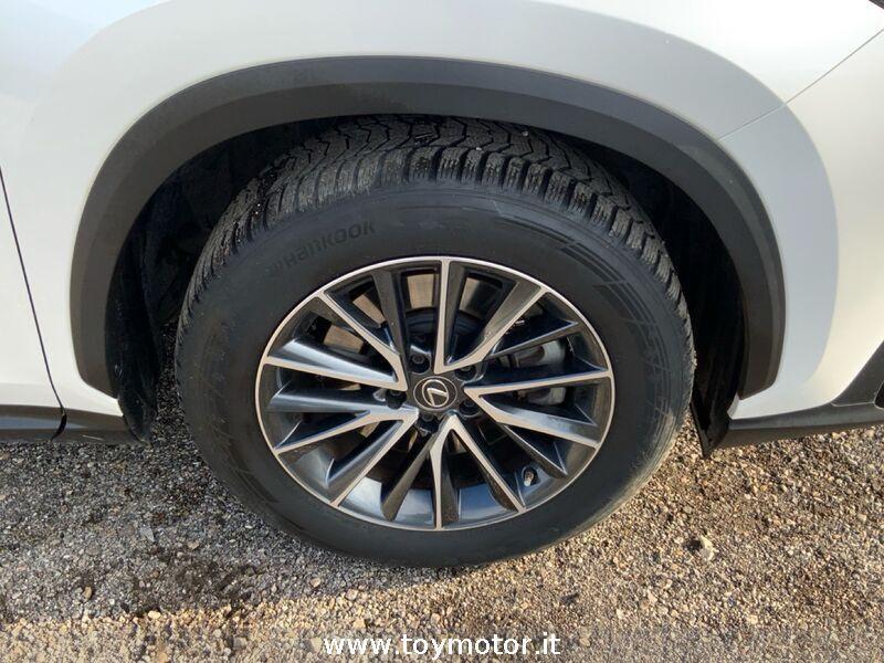 Lexus NX 2ª serie Plug-in 4WD Premium