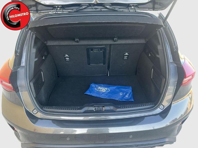FORD Focus 1.5 EcoBlue 115 CV automatico 5p. Active X
