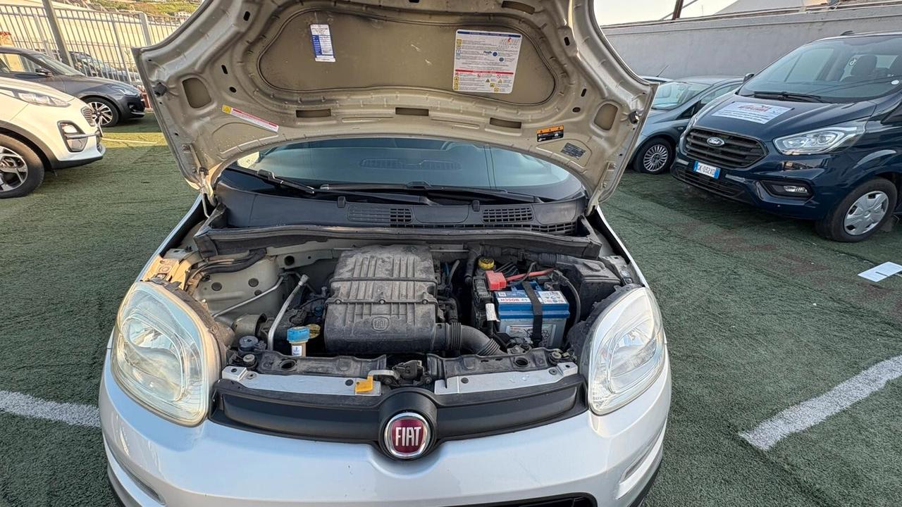 Fiat Panda 1.2 312PXA1A | BENZINA|169A4000 CC 1242 CV 69 KW 51 BERLINA, 5 P. (92816