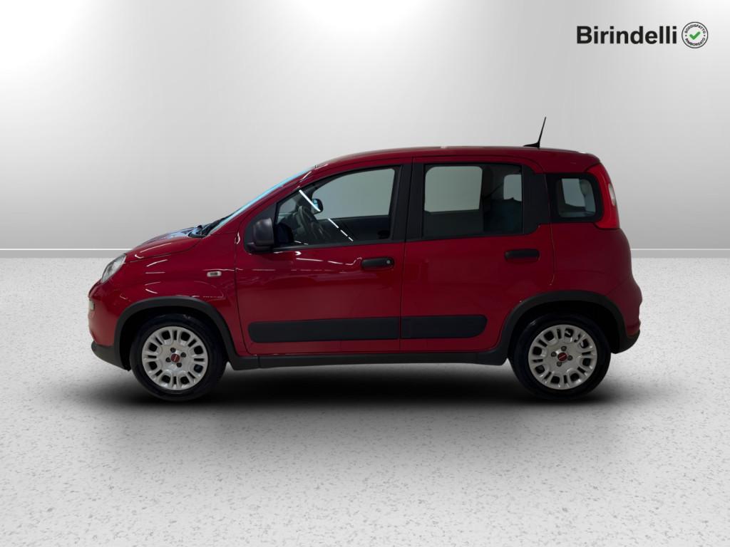 FIAT Panda 3ª serie - Panda 1.0 FireFly S&S Hybrid