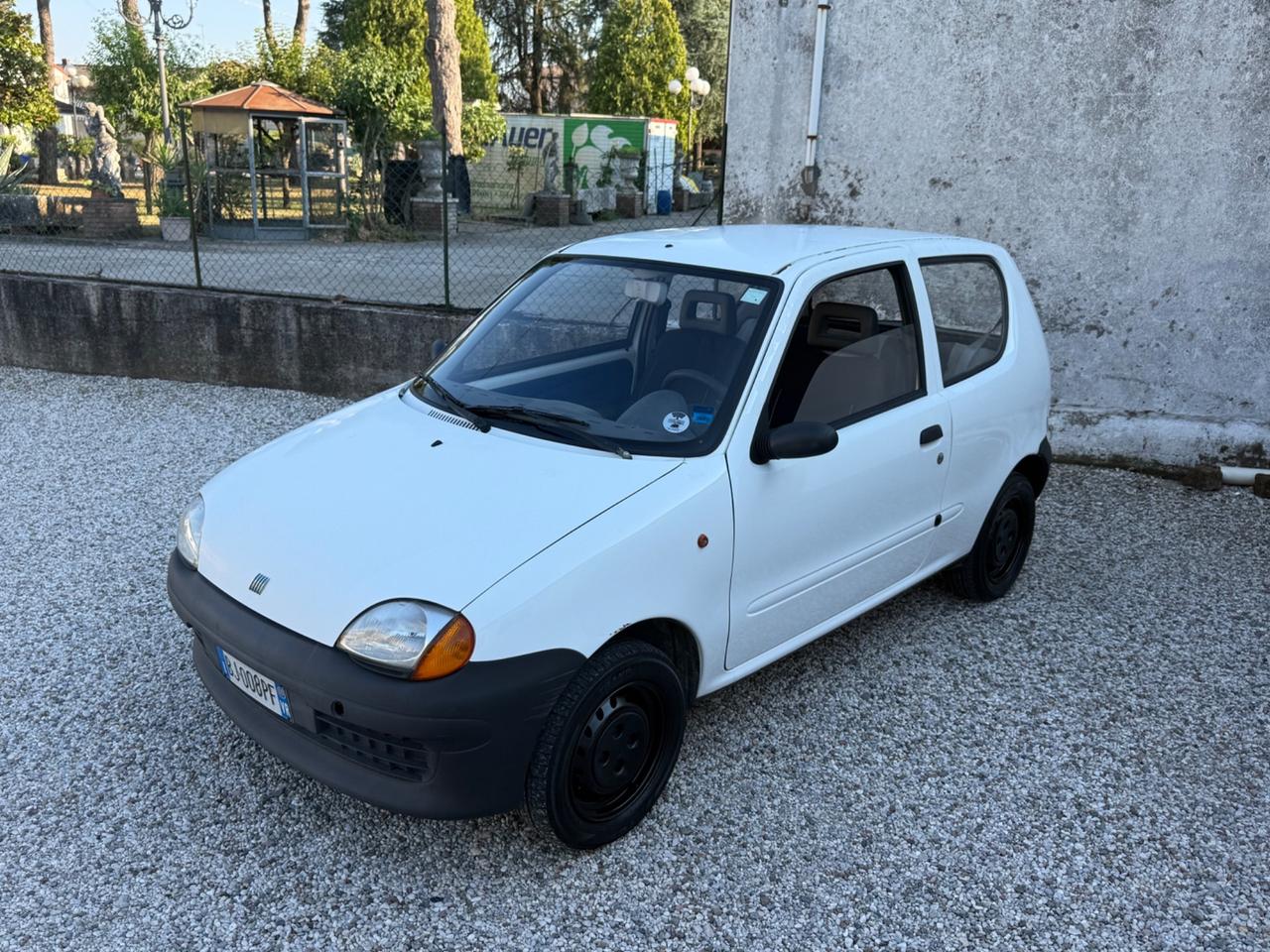Fiat Seicento 900i cat Young