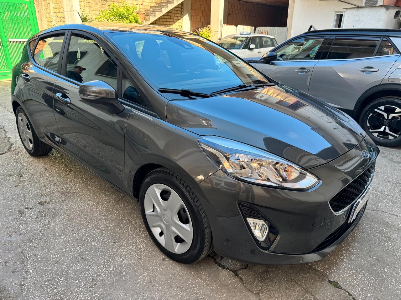 Ford Fiesta 1.5 EcoBlue 5 porte Business