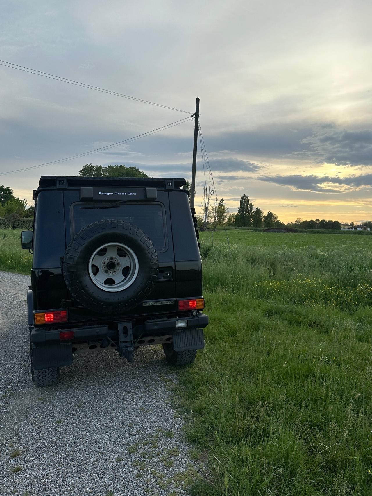 Mercedes-benz G 300 Professional