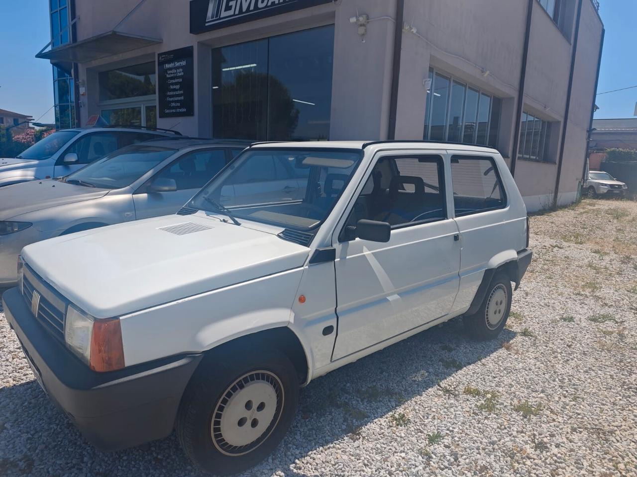 Fiat Panda 1100 i.e. cat College