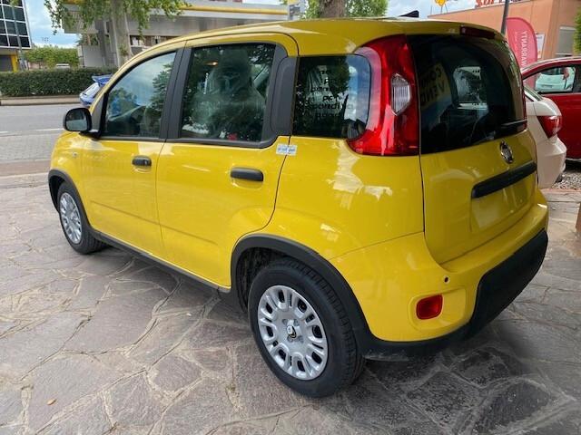 Fiat Panda 1.0 FireFly S&S Hybrid Pandina