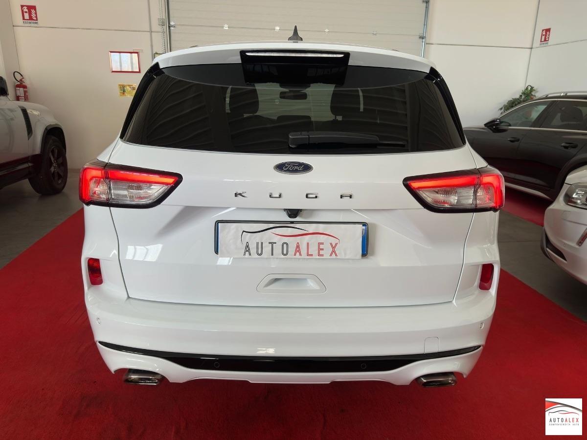 FORD - Kuga 2.0 ecoblue ST-Line 2wd 120cv auto