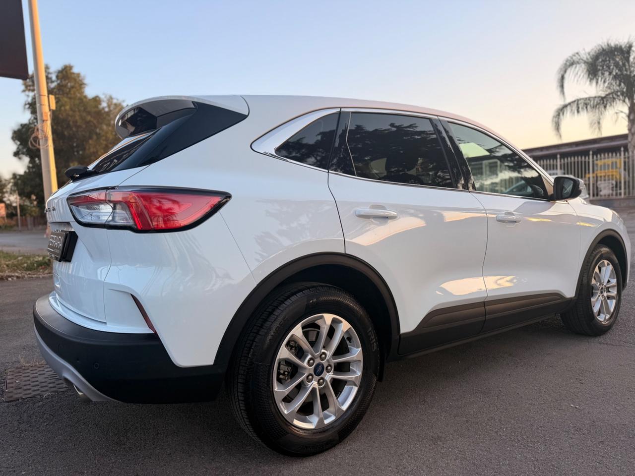 Ford Kuga 1.5 EcoBlue 120 CV 2WD Titanium