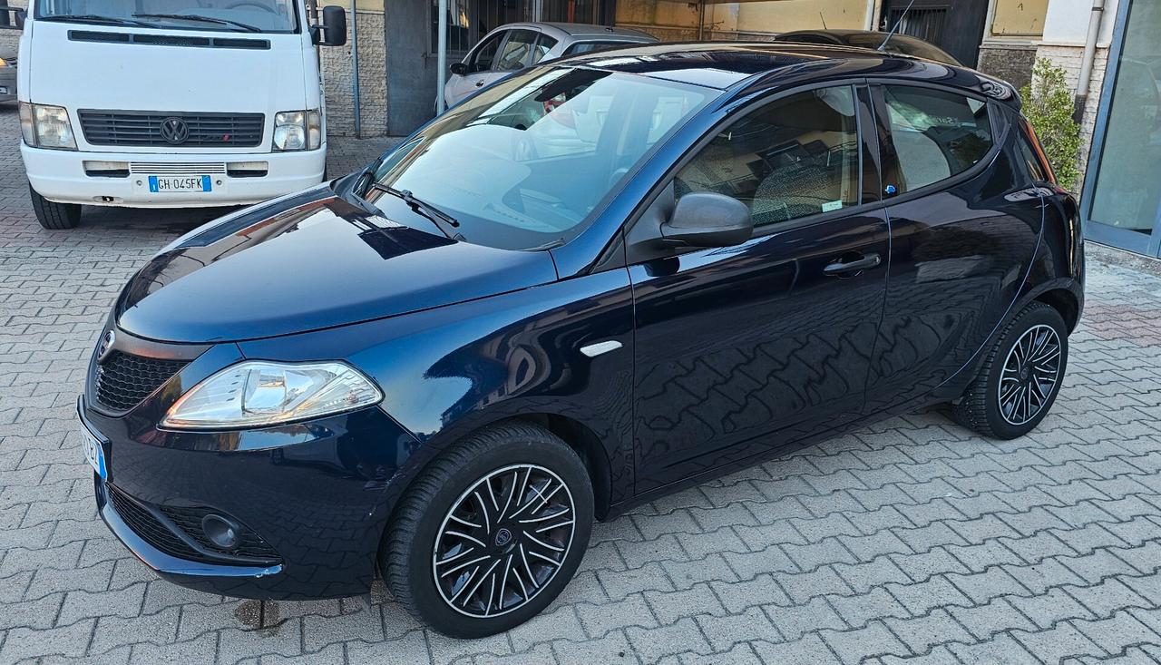 Lancia Ypsilon 1.3 MJT 16V 95 CV 5 porte S&S Platinum