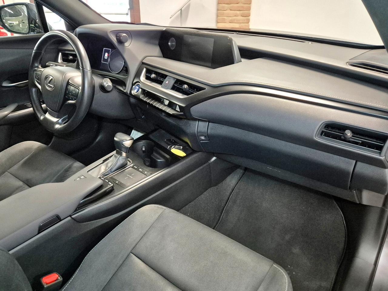 Lexus UX Hybrid 4WD Business