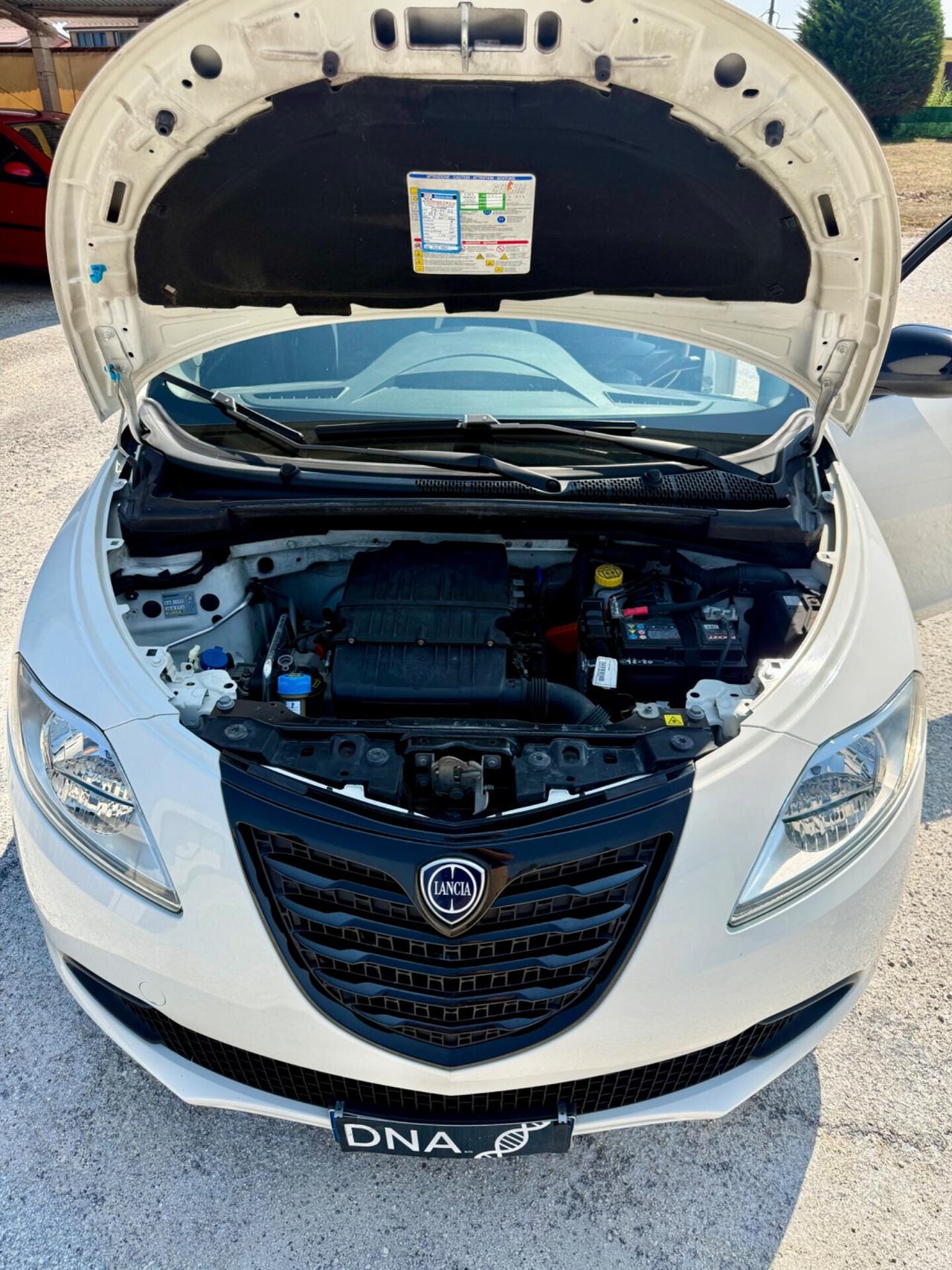 Ypsilon 1.2 benzina euro6B Unipro NEOPATENTATI