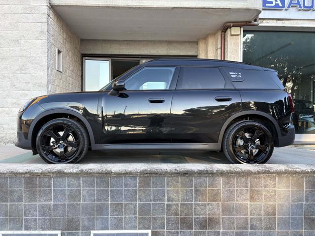 MINI Countryman D Classic Countryman CERCHI DA 19''
