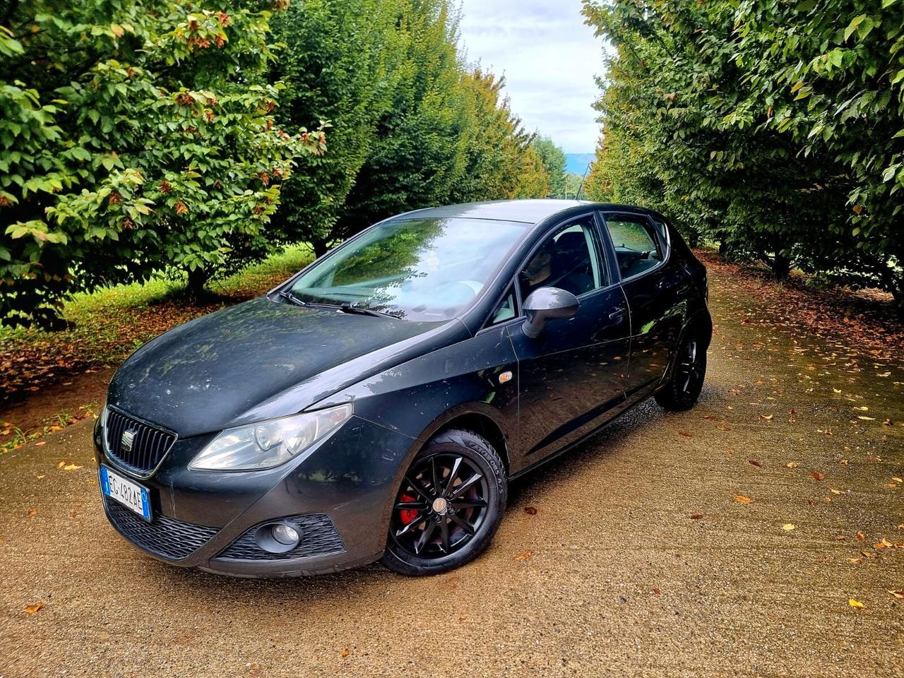 Seat Ibiza 1.6 TDI 90cv Sport ADATTA A NEOPATENTATI